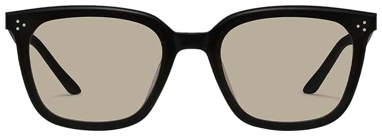 Gentle Monster By Row 01 BR Sunglasses Black