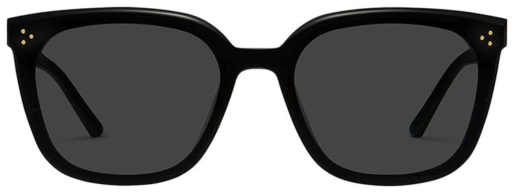 Gentle Monster Loloe 01 Sunglasses Black