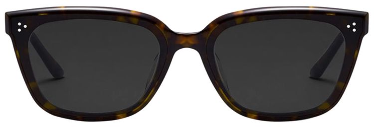 Gentle Monster Numer T1 Sunglasses Black