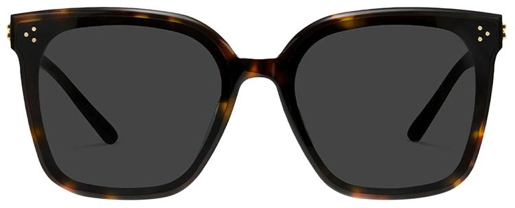 Gentle Monster New Her T1 Sunglasses Black