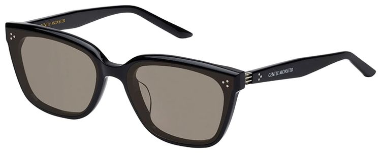 Gentle Monster Numer 01 G Sunglasses Black