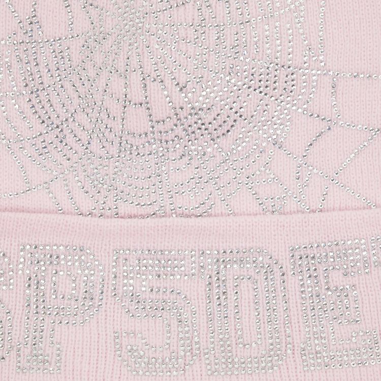 Sp5der Web Beanie Pink