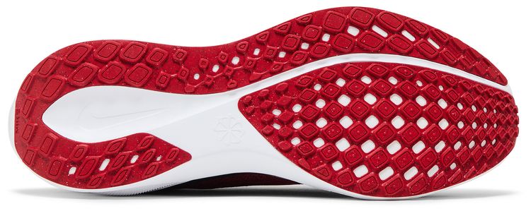 Nike Air Zoom Pegasus 41 Georgia 2024