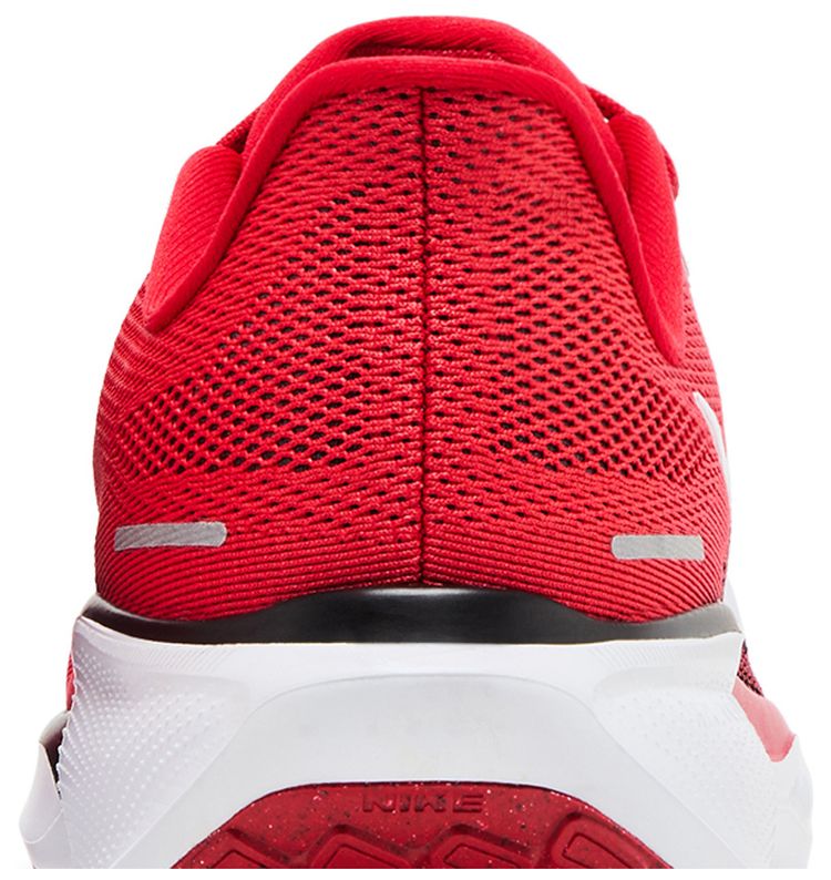 Nike Air Zoom Pegasus 41 Georgia 2024