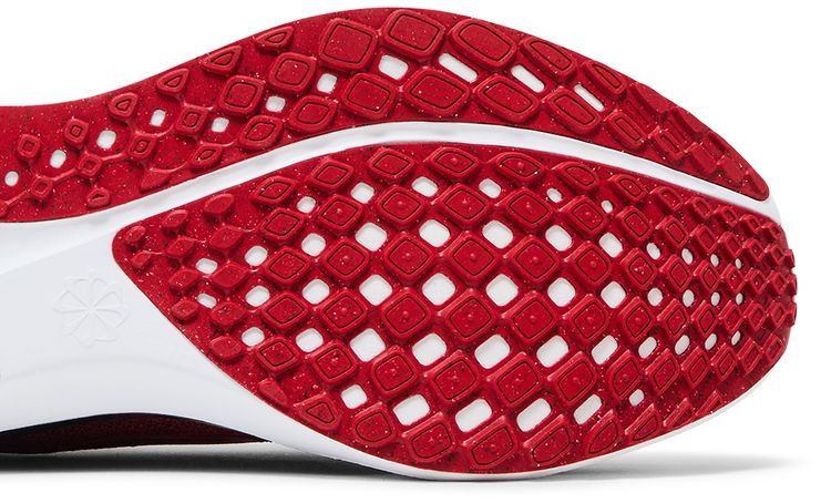 Nike Air Zoom Pegasus 41 Georgia 2024