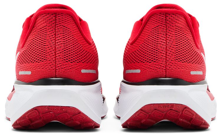 Nike Air Zoom Pegasus 41 Georgia 2024