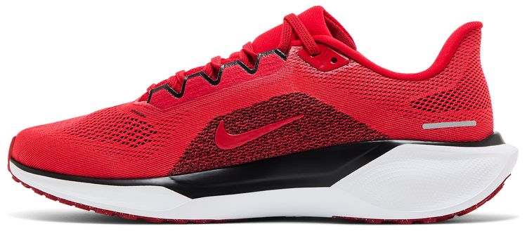 Nike Air Zoom Pegasus 41 Georgia 2024