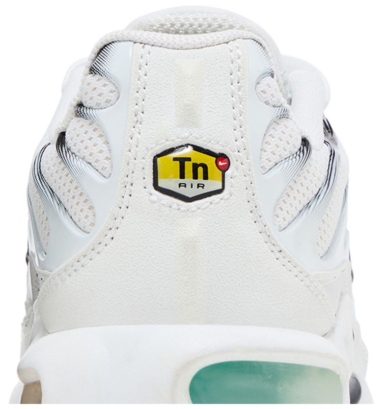 Nike Air Max Plus BG Dusty Cactus