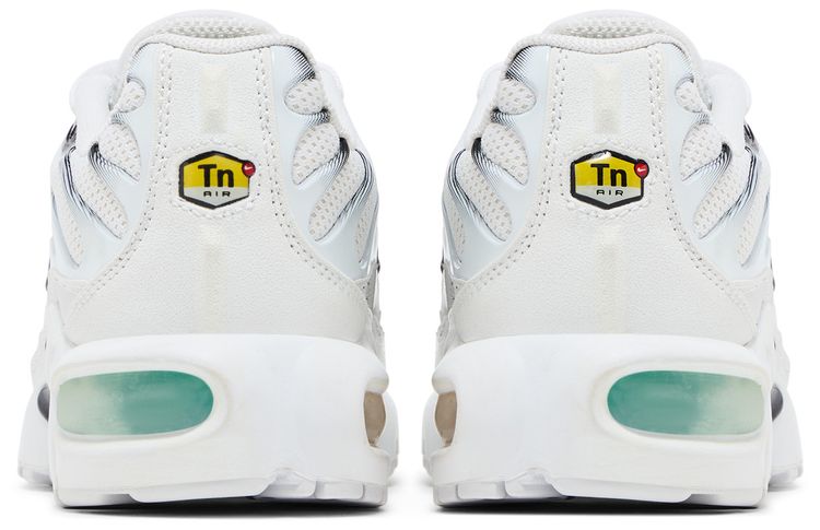 Nike Air Max Plus BG Dusty Cactus