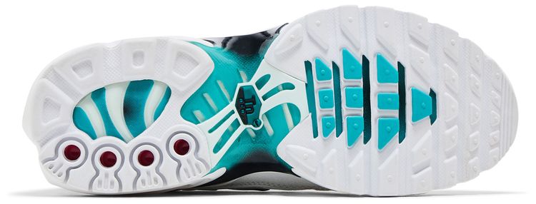 Nike Air Max Plus BG Dusty Cactus