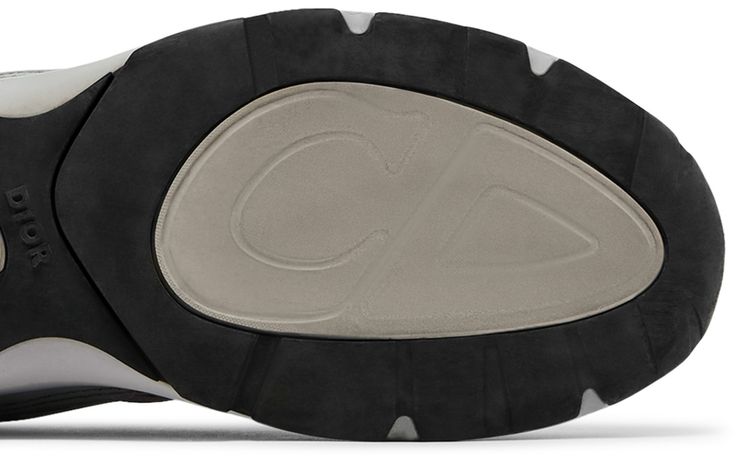 Dior B30 Reflective CD30   Grey
