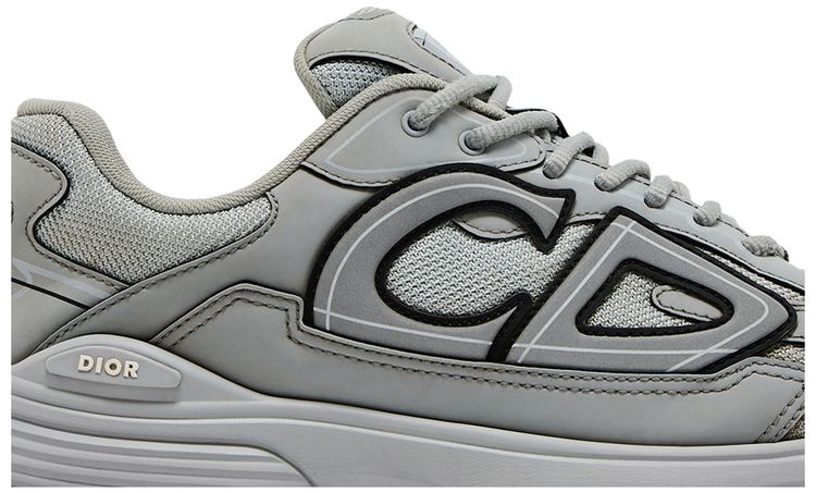 Dior B30 Reflective CD30   Grey