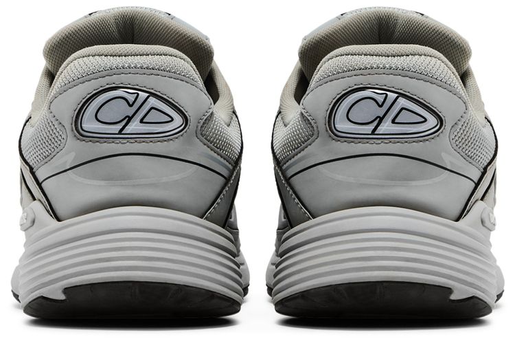 Dior B30 Reflective CD30   Grey