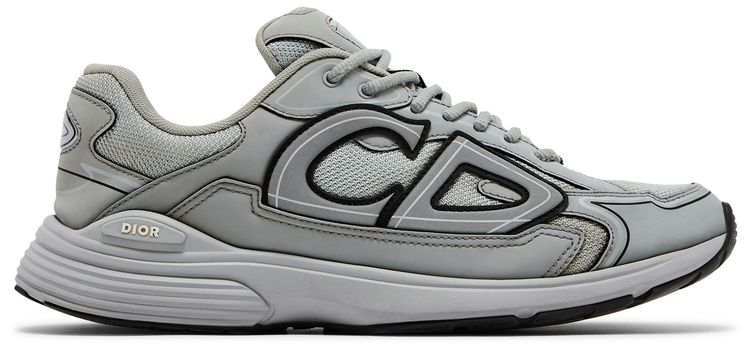 Dior B30 Reflective CD30   Grey