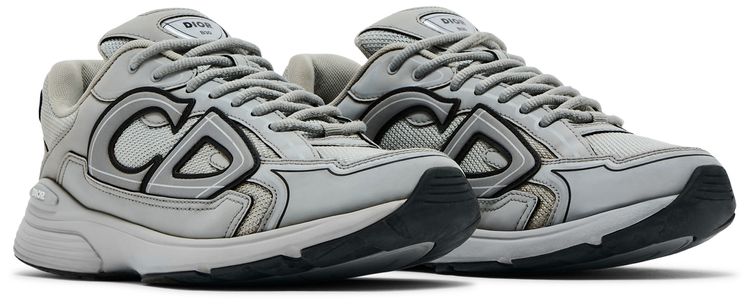 Dior B30 Reflective CD30   Grey