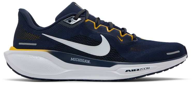 Nike Air Zoom Pegasus 41 Michigan