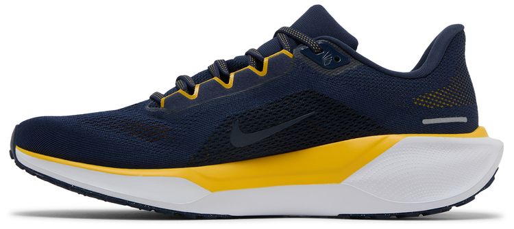 Nike Air Zoom Pegasus 41 Michigan