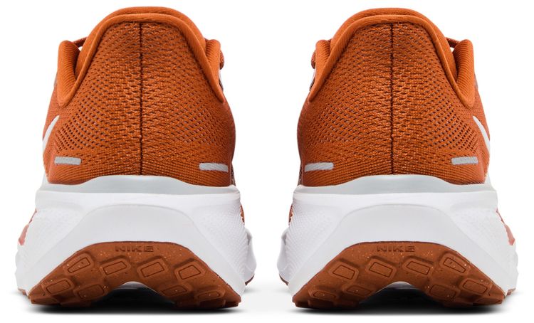 Nike Air Zoom Pegasus 41 Texas 2024