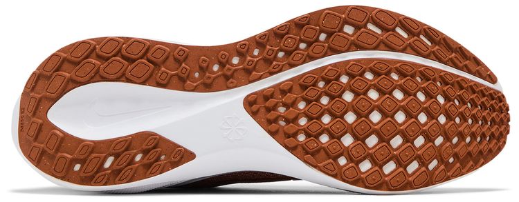 Nike Air Zoom Pegasus 41 Texas 2024