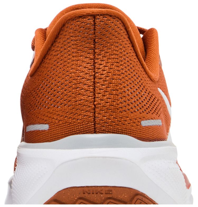 Nike Air Zoom Pegasus 41 Texas 2024