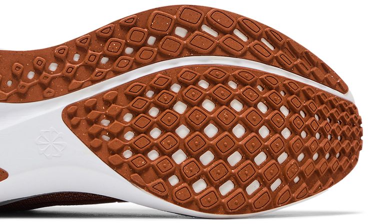 Nike Air Zoom Pegasus 41 Texas 2024