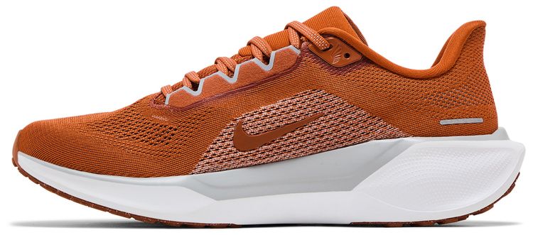 Nike Air Zoom Pegasus 41 Texas 2024