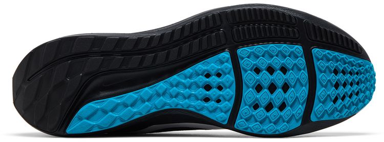 NFL x Nike Air Zoom Pegasus 40 Carolina Panthers