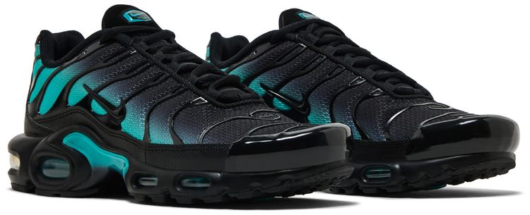 Nike Air Max Plus Black Dusty Cactus