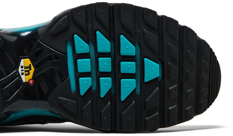 Nike Air Max Plus Black Dusty Cactus