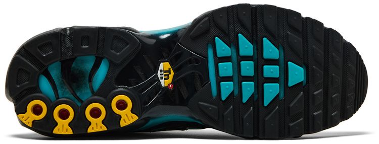 Nike Air Max Plus Black Dusty Cactus