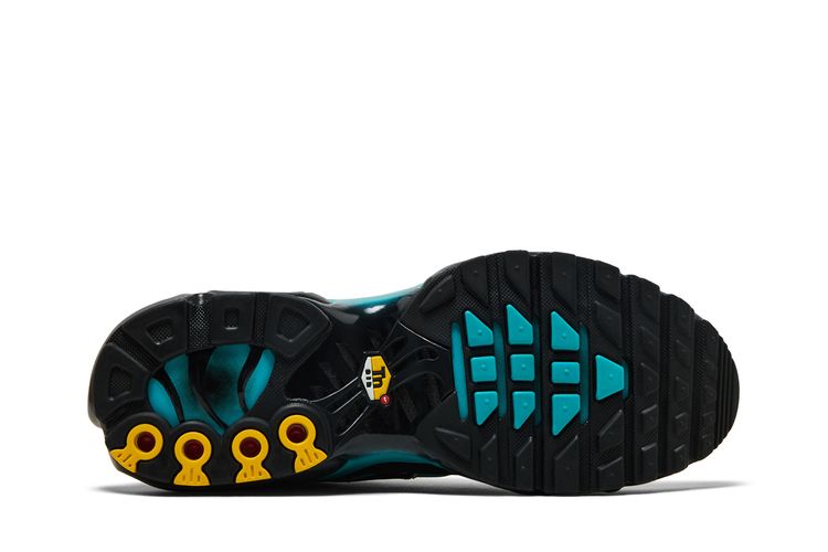Buy Nike Air Max Plus 'Black Dusty Cactus' - DM0032 016 | GOAT