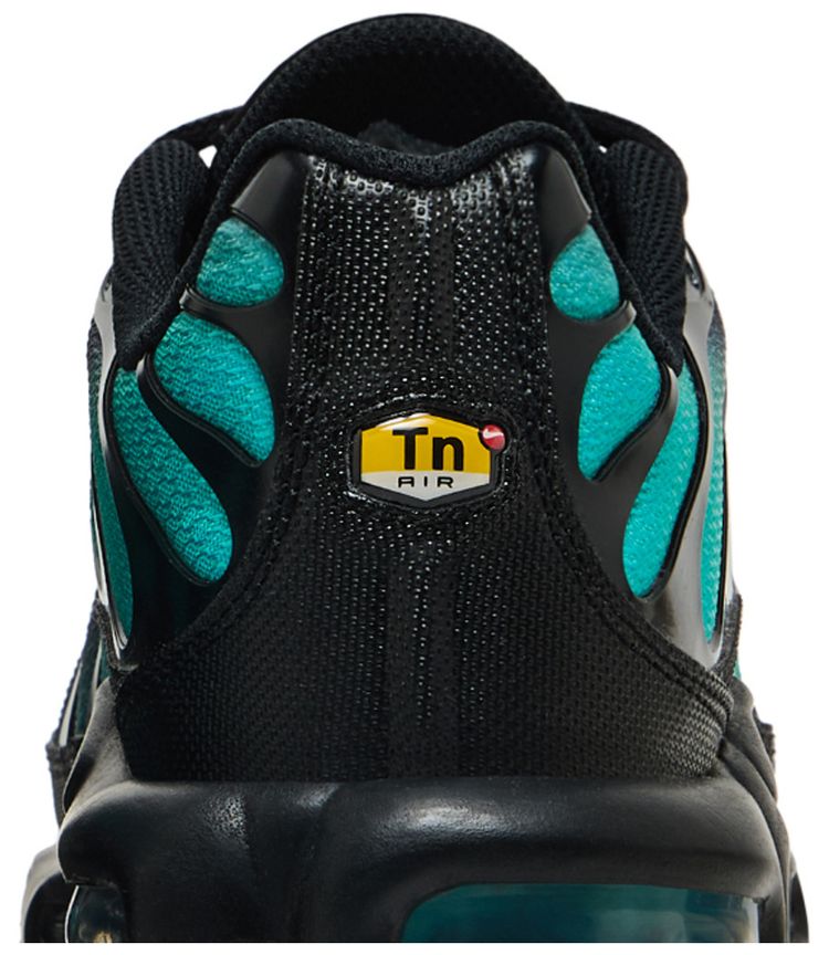 Nike Air Max Plus Black Dusty Cactus