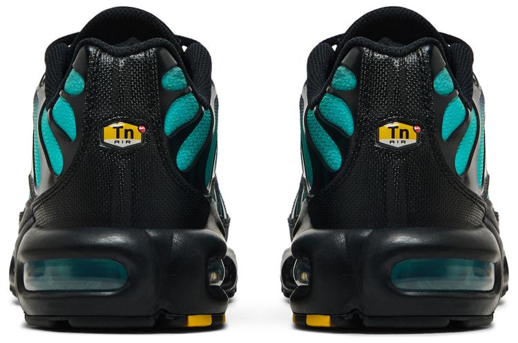 Nike Air Max Plus Black Dusty Cactus