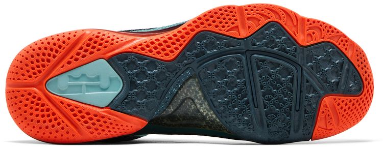 Nike LeBron 9 Cannon