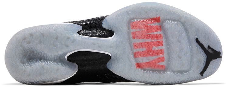 Air Jordan 31 Why Not