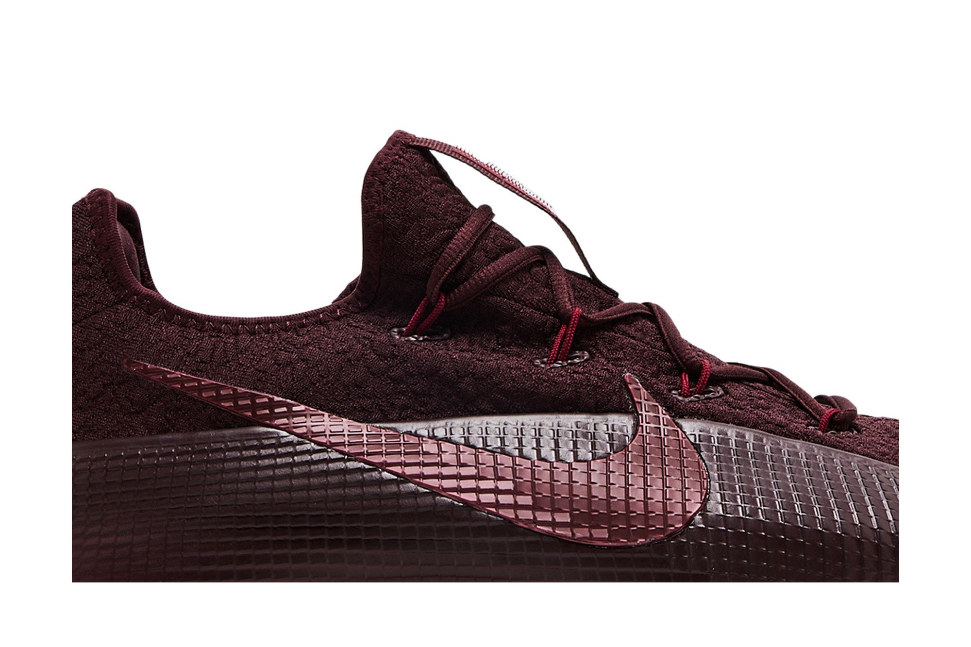 紅シュスラン① GKZ植物事典・ベニシュスラン（紅繻子蘭）