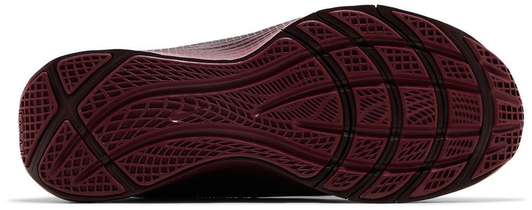 Nike LeBron TR 1 Burgundy Crush