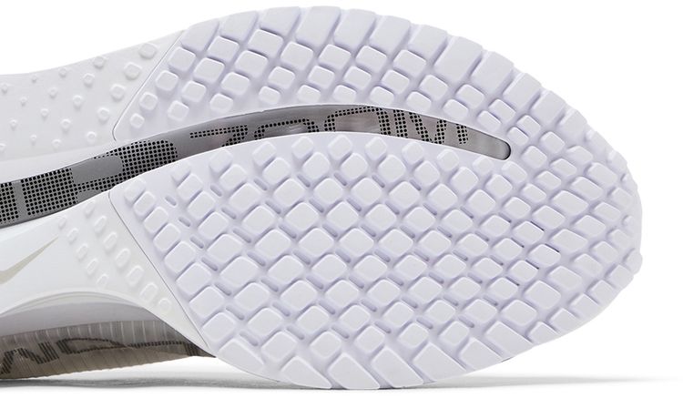 Nike Wmns Pegasus Premium White Metallic Silver