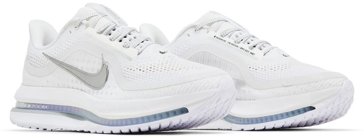 Nike Wmns Pegasus Premium White Metallic Silver
