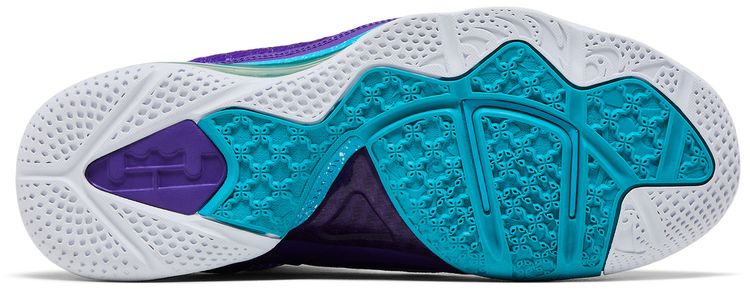 Nike LeBron 9 Summit Lake Hornets