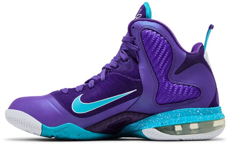 Nike LeBron 9 Summit Lake Hornets