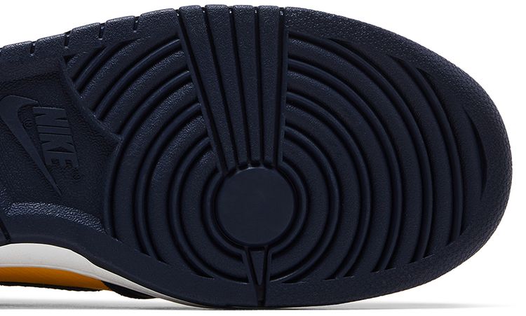 Nike Dunk High QS Michigan 2016