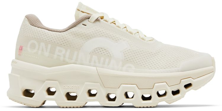 INVINCIBLE x Wmns Cloudmonster 2 Deconstructed Perfection