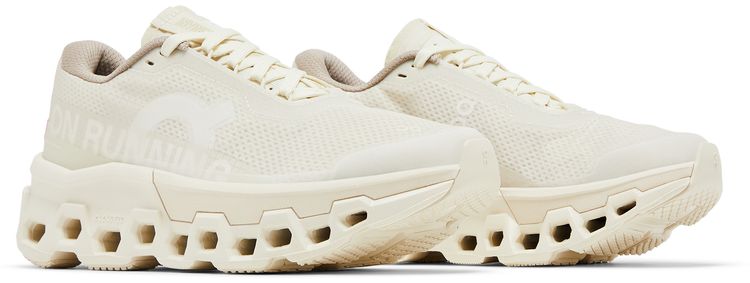 INVINCIBLE x Wmns Cloudmonster 2 Deconstructed Perfection