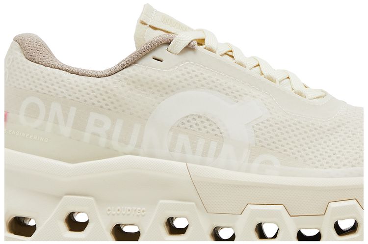 INVINCIBLE x Wmns Cloudmonster 2 Deconstructed Perfection