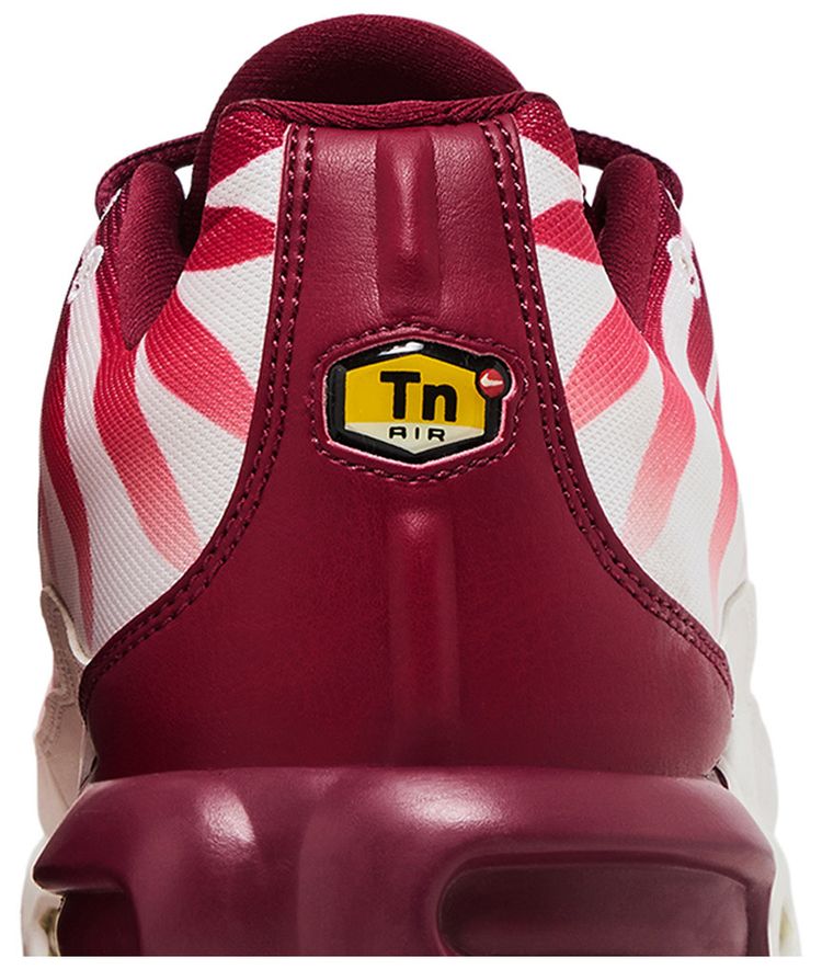 Nike Air Max Plus After the Bite