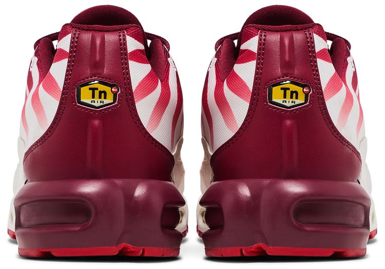 Nike Air Max Plus After the Bite