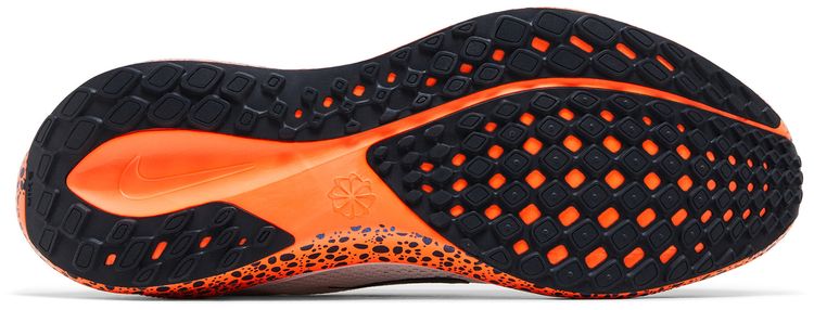 Nike Air Zoom Pegasus 41 Electric Pack