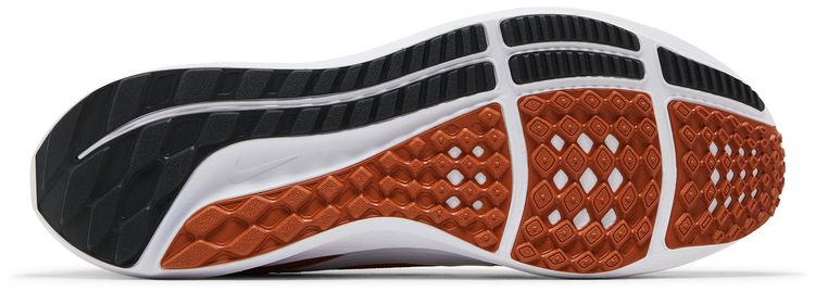 Nike Air Zoom Pegasus 40 Texas