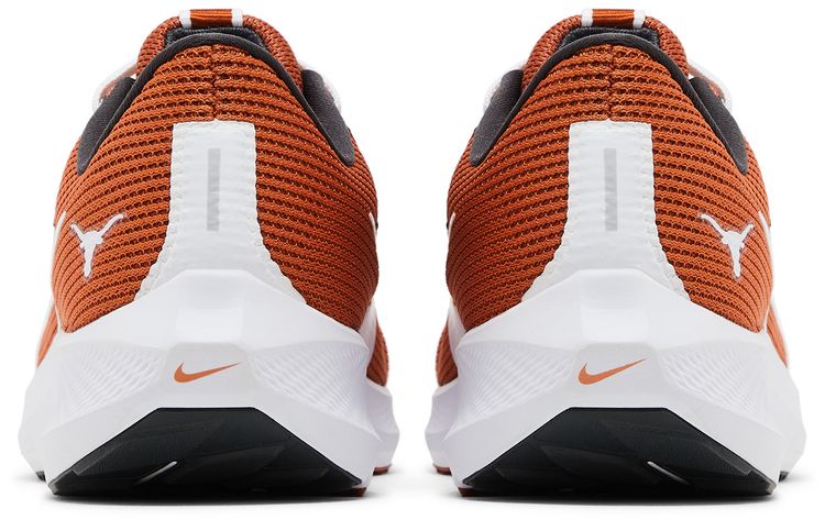 Nike Air Zoom Pegasus 40 Texas